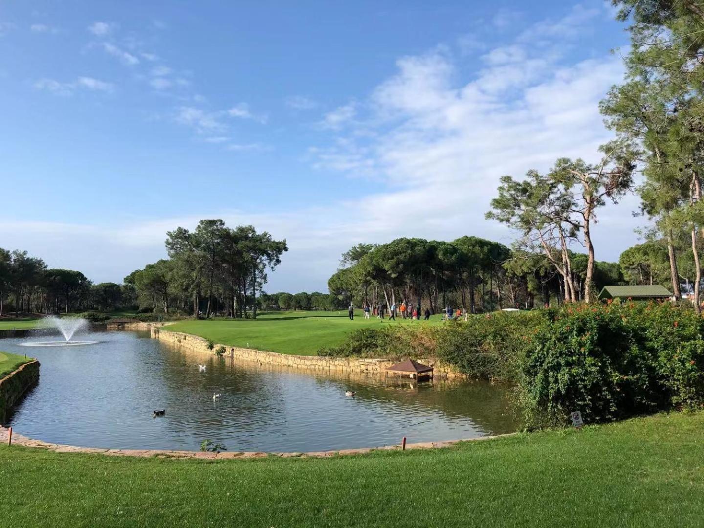 Modern Cozy 2-Bedroom Los Dolses Villamartin Dehesa de Campoamor  Zewnętrze zdjęcie
